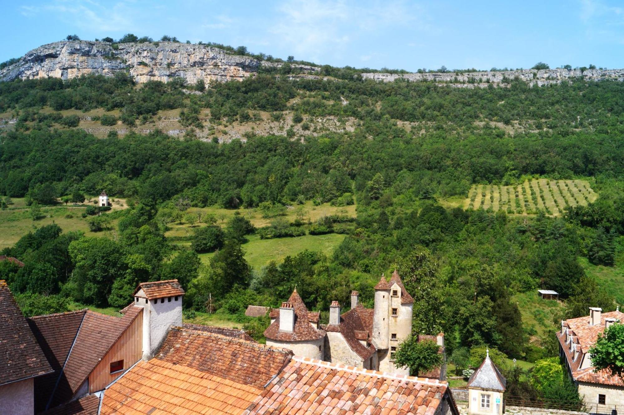 Manoir De Laroque Delprat Bed & Breakfast Autoire Екстериор снимка